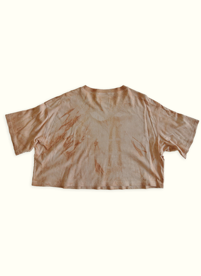 dunes and ripples x dh-c t-shirt